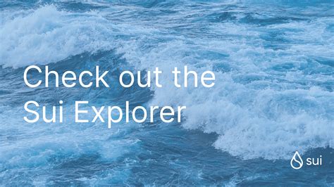 siito scan.com|Sui Explorer .